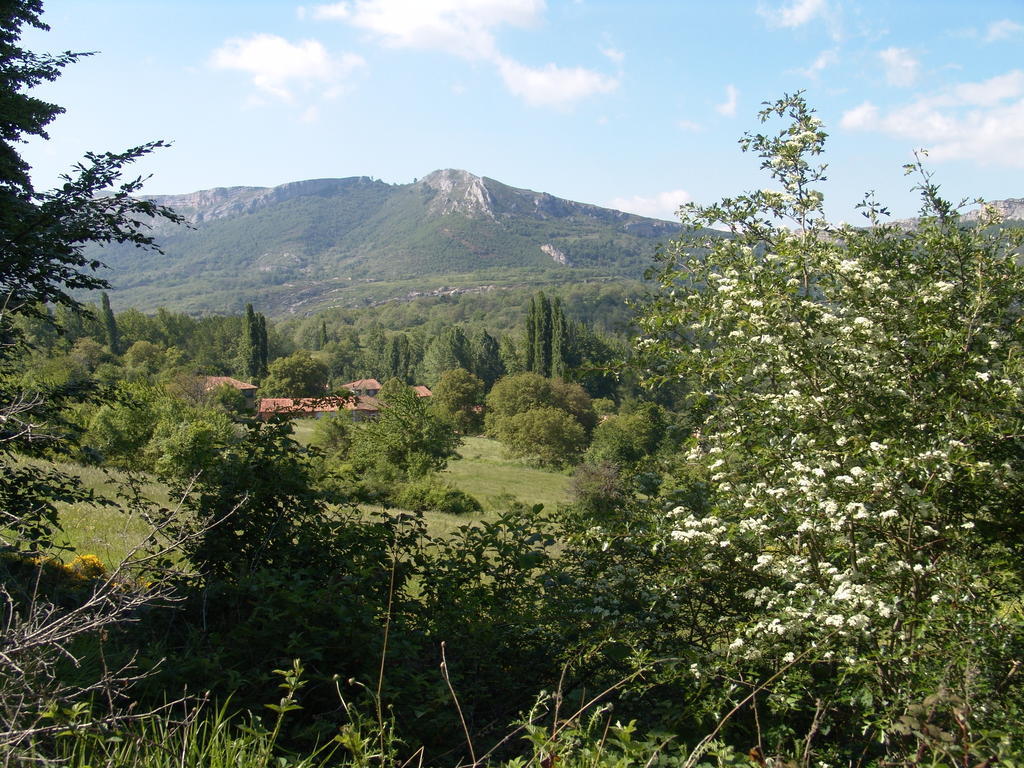 Pensjonat La Gandara Crespo Zewnętrze zdjęcie